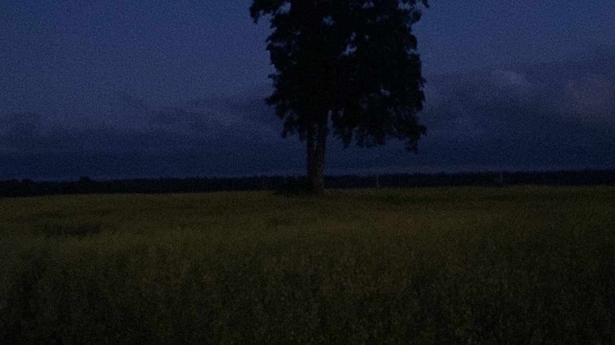 Бывало ли такое, что вам нужно было бы отвлечься от чего либо, прям н… — LonePlayer22 · Стрекоза