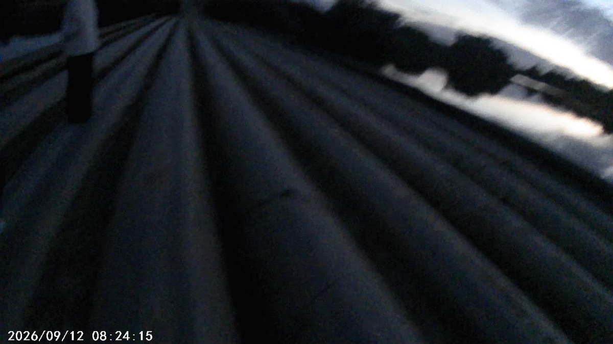Позавчера на кладбище ходил,потому что скучно было,но не дошел,потому… — Kult_neschastya · Стрекоза