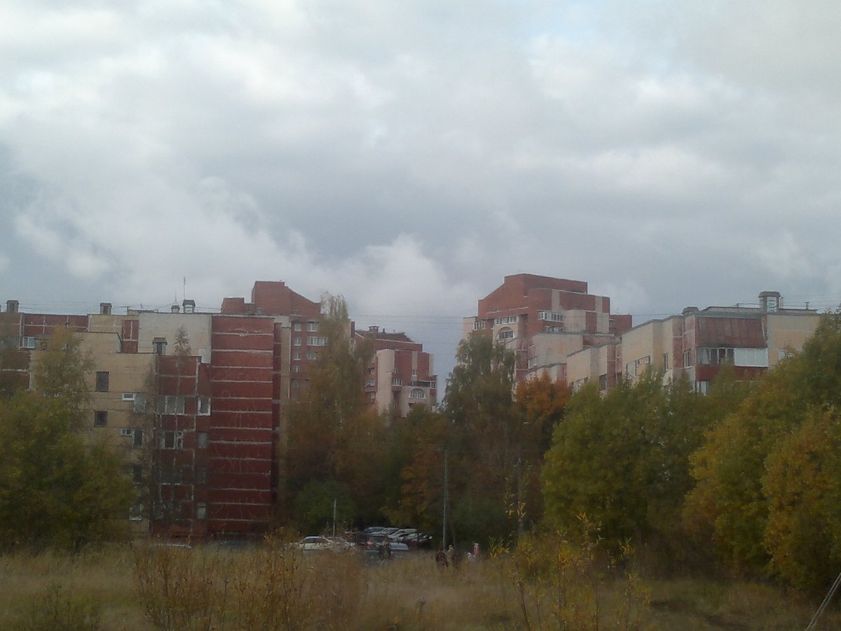 Глушь... #Nokia_E7 — NOKIA Forever! | Фотокарточки с мобилок · Стрекоза