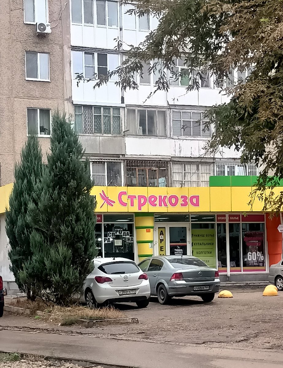Случайности не случайны? )) — ShooShoo · Стрекоза