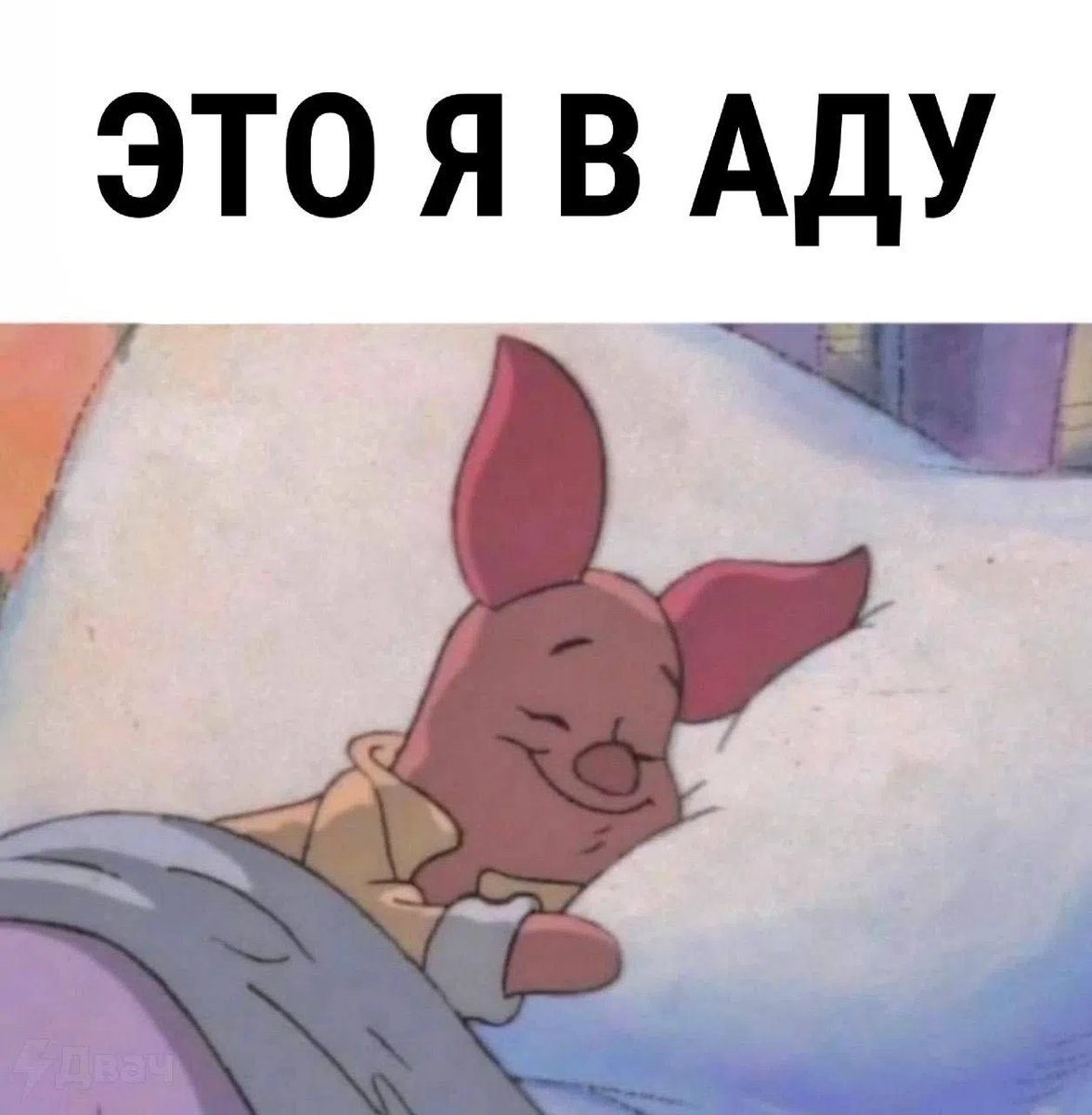 Пора и на боковую, надеюсь завтра моё желание гневаться и злиться на… — MUZHIK_IZ_INTERNETOV · Стрекоза