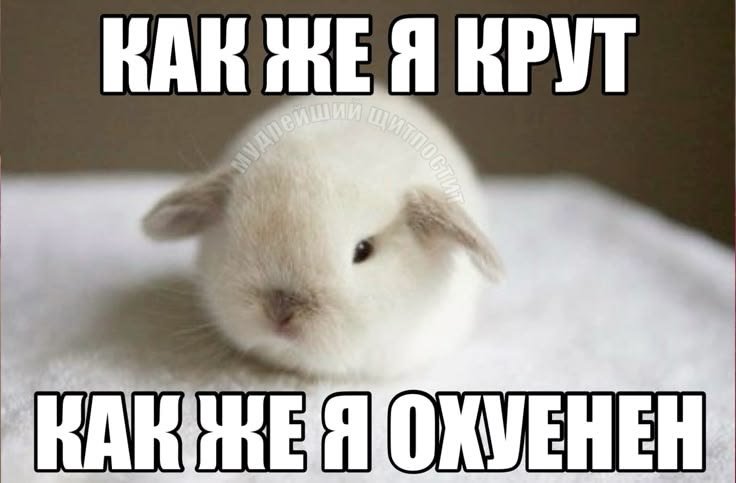 Место главной няшки стрекозы уже занято? — KriStarL · Стрекоза