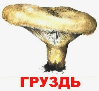 Uhf Вы верите вообще или как? — Usopshoe_ochko_40 · Стрекоза