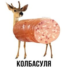 Я люблю докторскую, но всегда так жалко докторов.(╥﹏╥) — 4eCHo4ok · Стрекоза