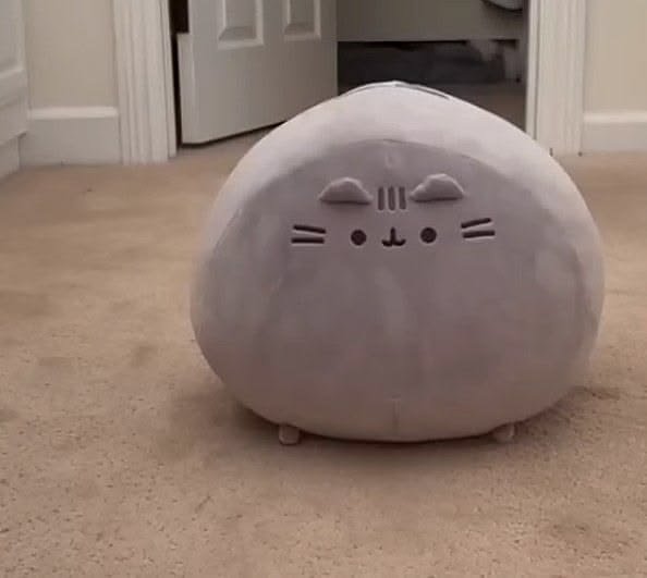 привет что происходит — nyanko · Стрекоза