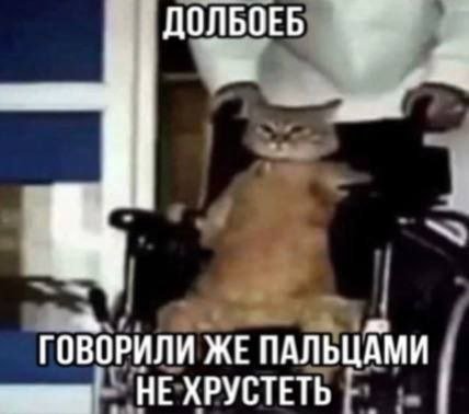 негативный пост — v1nograd · Стрекоза