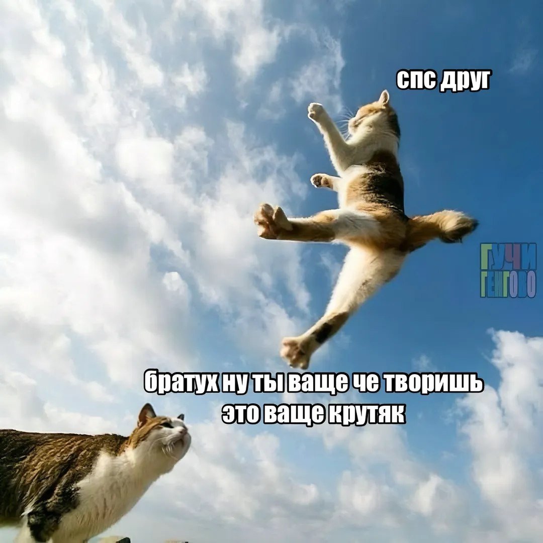 мемчик — y4mke · Стрекоза