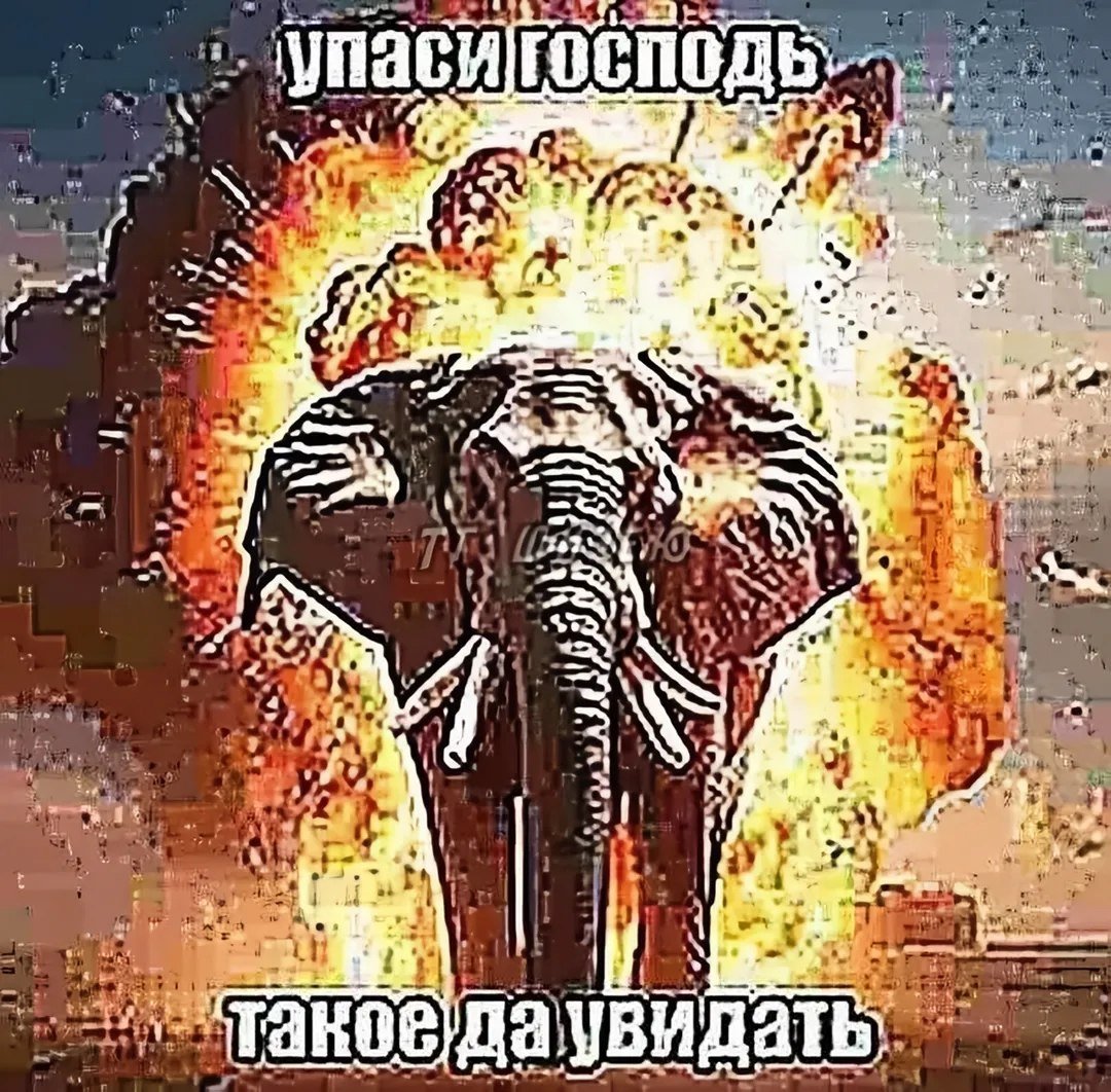 я как ваш покорный мистер обосри мне уши дропаю ажщ две страшые штучк… — yarnonneck · Стрекоза