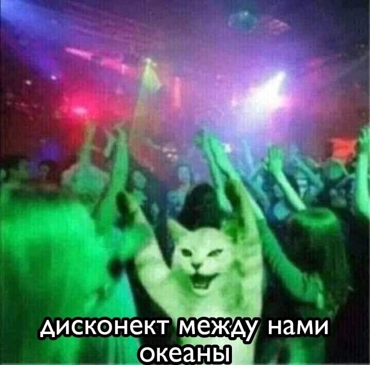 Я вернулась опять. С прошлого поста прошла неделя и много у меня всяк… — Myrtille · Стрекоза