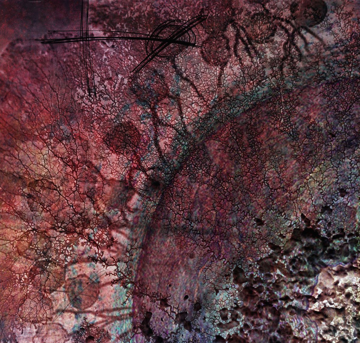 tødestriib– débris (2016) source: https://todestriib.bandcamp.com/alb… — Слушатели нойз музыки (которая жанр noise) · Стрекоза
