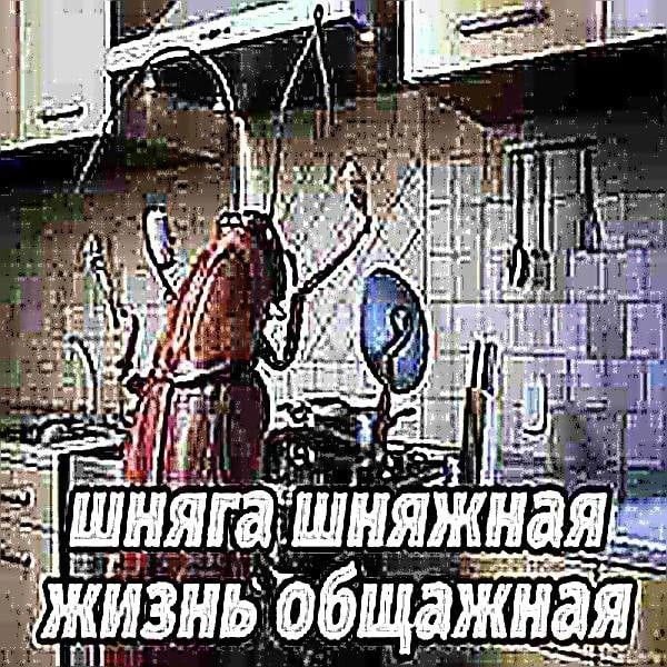 видел в тиктоке девушку которая плакала из-за того, что ей родители к… — TrrrHacha · Стрекоза