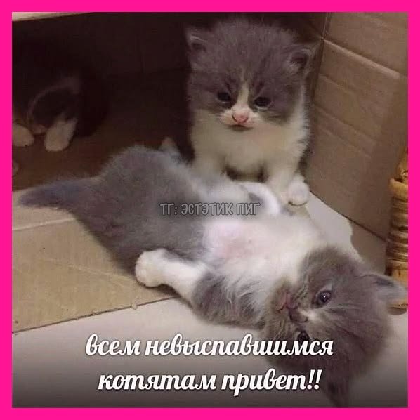 У меня сегодня ранний подъем так как я еду гулять. Мы поедем в один н… — Myrtille · Стрекоза