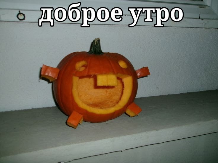 Доброе утро.Желаю вам паразитов — Amilog · Стрекоза