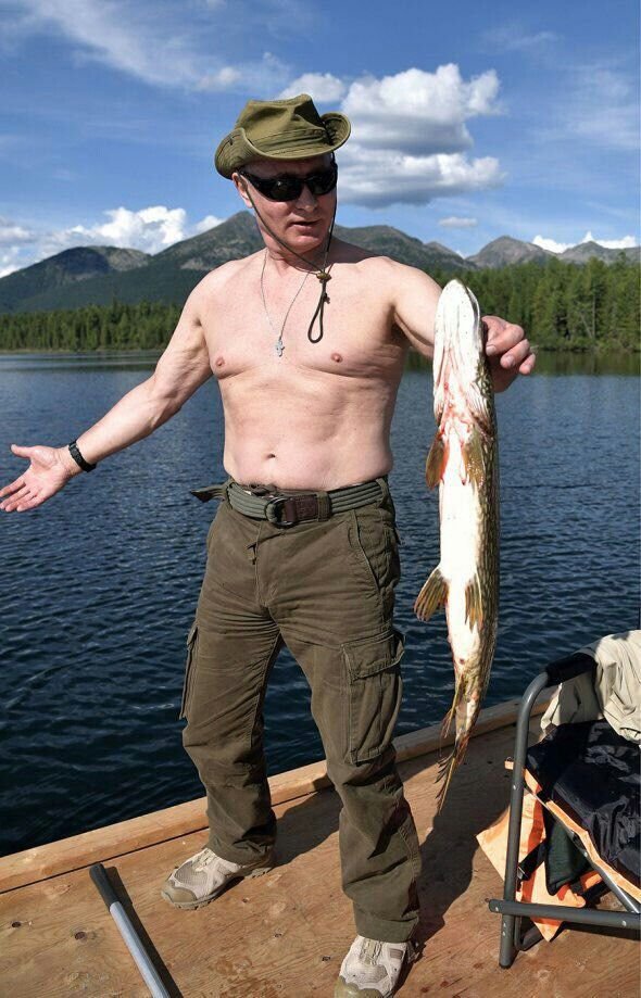 доброе утро дорогие подписчики! умер ли владимир владимирович путин?… — владимир владимирович путин · Стрекоза