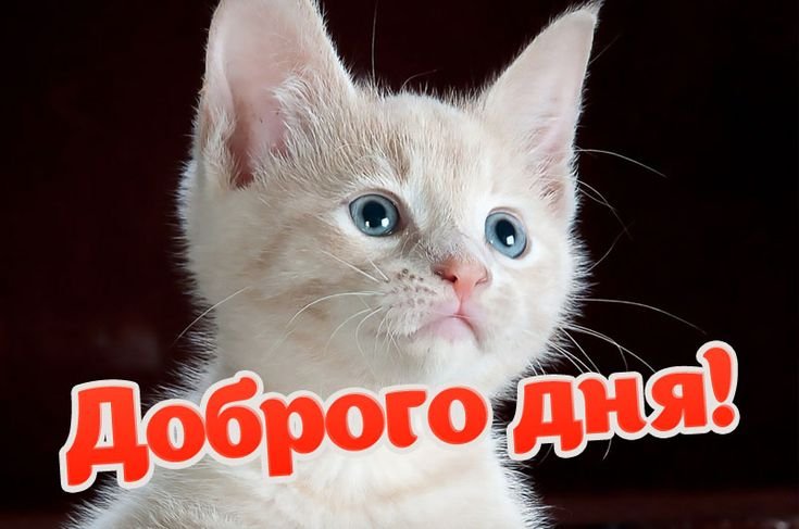 я трлька што проснулся всем превед !!!! — MinecraftSuperProHacker2011 · Стрекоза