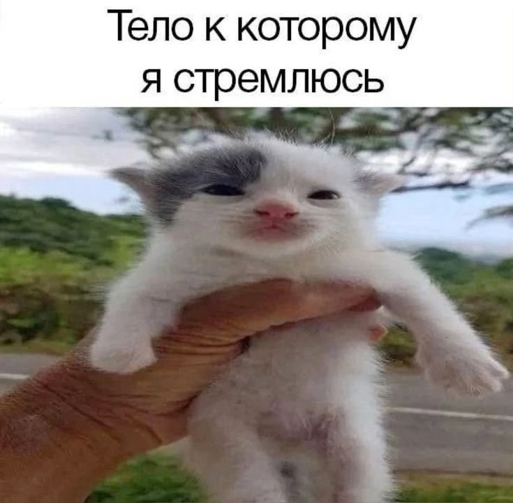 правда? — Aiku · Стрекоза