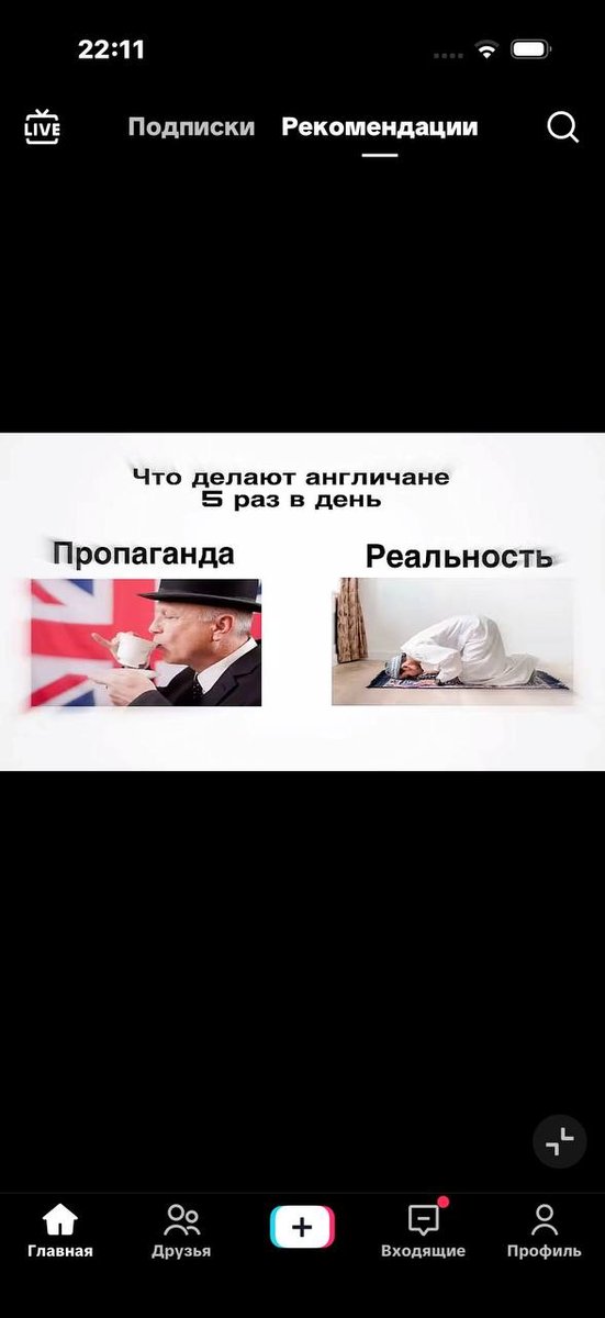 Выживают самые тупые и агрессивные. У меня неплохие шансы. — Govnonalopate · Стрекоза