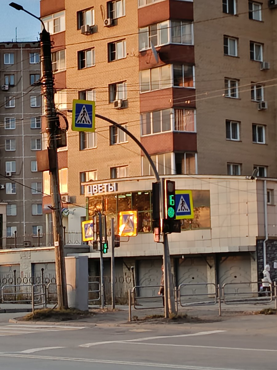 Делюсь фоточками с прогулки и угашенными игрушками которые купила за… — Myrtille · Стрекоза