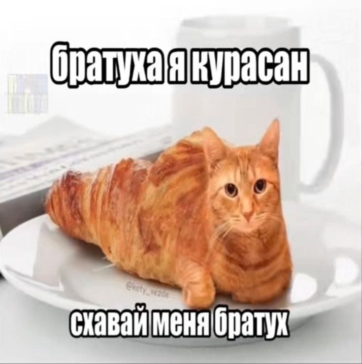 Короче,чё то типо второго звонка на спектакль,заходите на твич https:… — KoTJleTbI01 · Стрекоза
