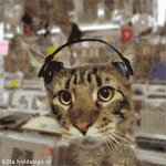 прикиньте бразильцы ню метал делают — dangasa3301 · Стрекоза
