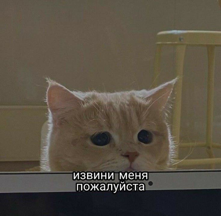 еще раз извиняюсь перед флешбенг. Простите — provod · Стрекоза