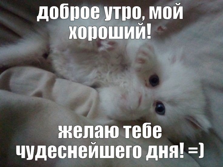 всем доьрава утра !!! — MinecraftSuperProHacker2011 · Стрекоза