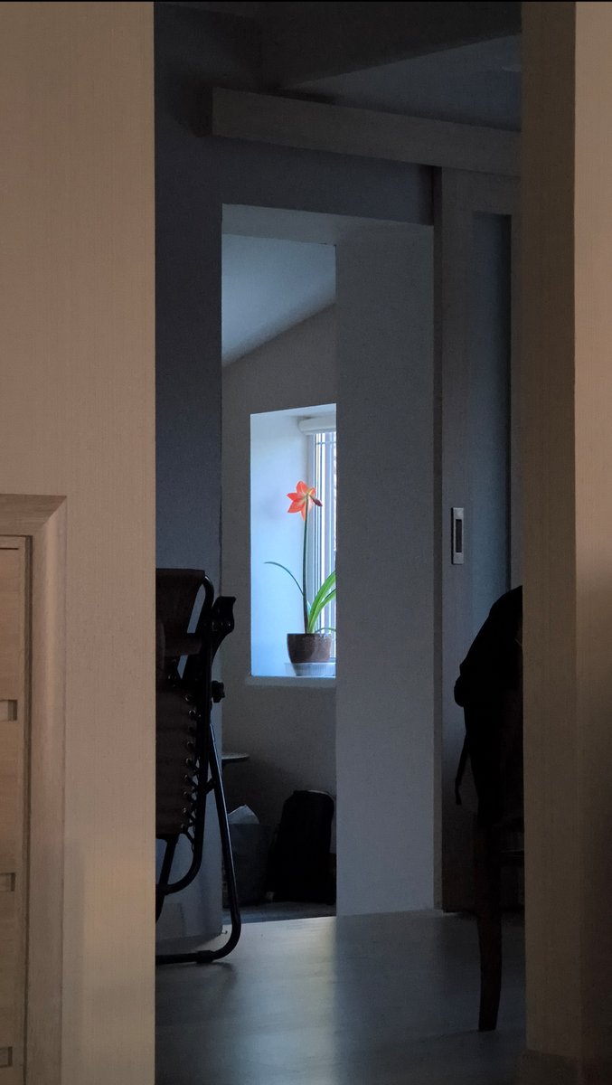 Просто прикольная фоточка Всех с понедельником! — Johnsonson · Стрекоза