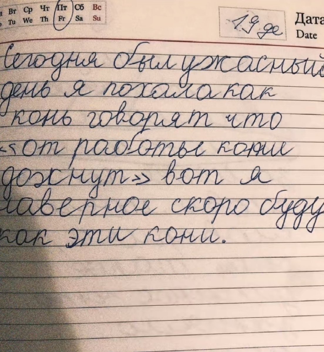 мне сказали что с новой челкой я задорная🤙🏼 я лив короче у меня очень… — immemorial_silence · Стрекоза