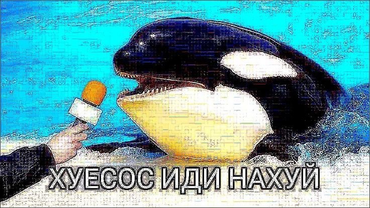Блять я не буду писать про кого, но я сука злая сейчас — DeltaDi · Стрекоза