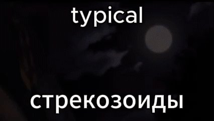 Один гнег, один чинит унитазы, другой качает аддоны. Ну просто... — NecoOleg · Стрекоза