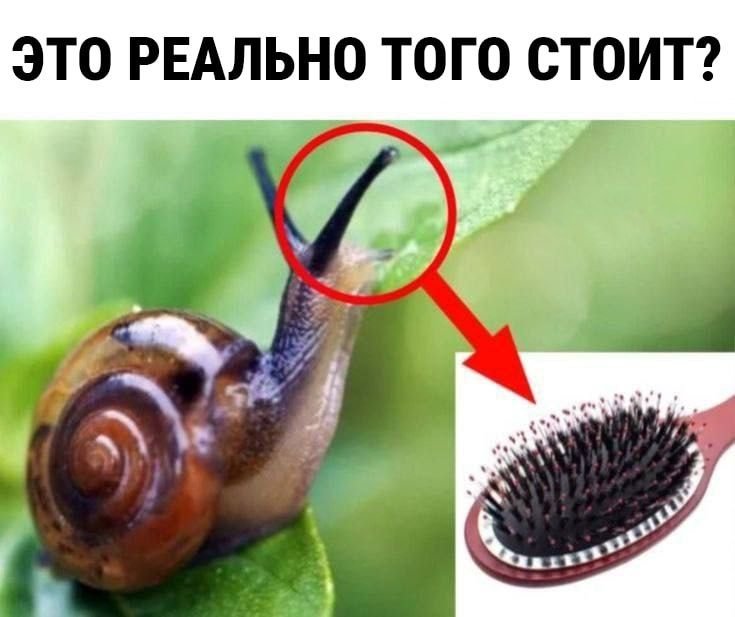 Шота мне фигово в последнее время — K1rpich · Стрекоза