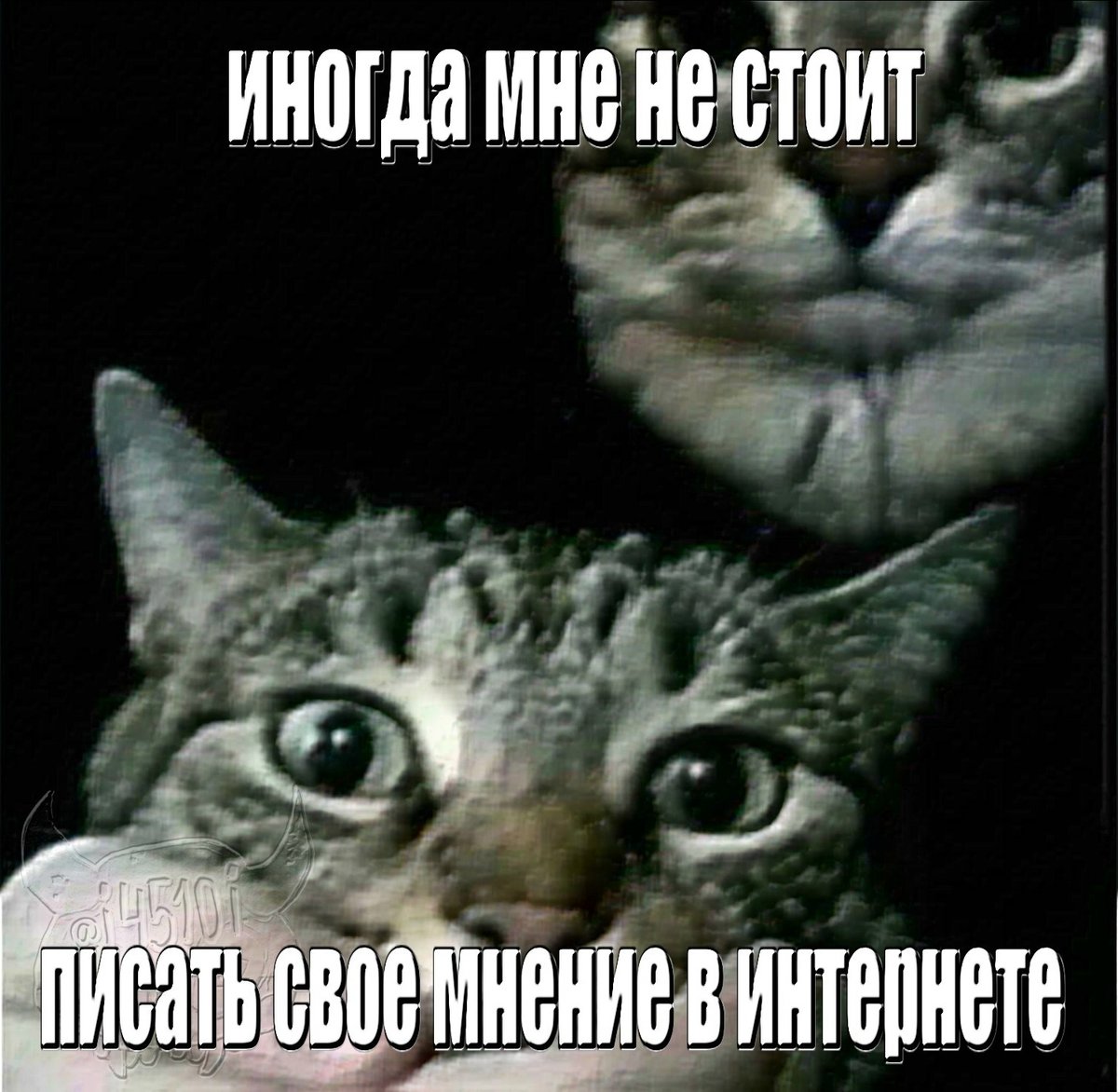 пока на стрекозе ночь, я могу высказывать своё неподкупное и объектив… — Werfa · Стрекоза