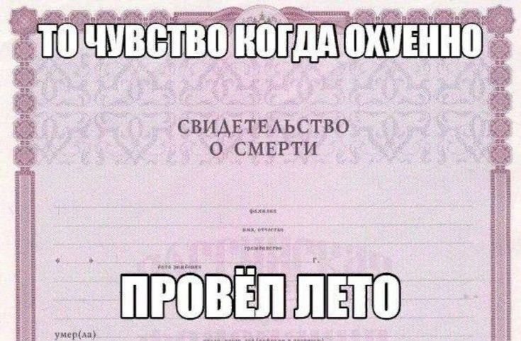 Как еблан в автобусе трясусь — Oklahoma_Mixer · Стрекоза