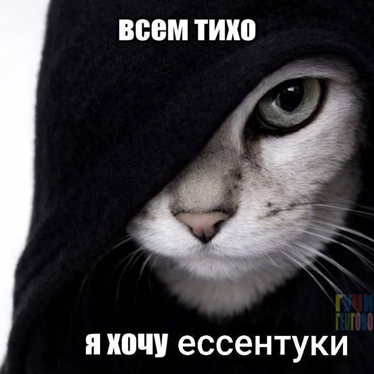 факк — paganka_died · Стрекоза
