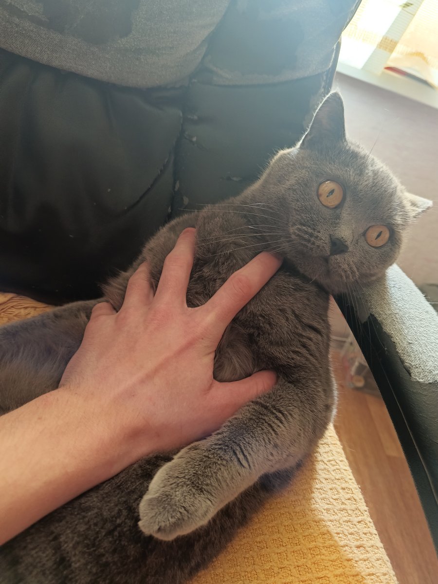 Пришел со школы а туту такое чудо 🥰🥰🥰 — Nikto · Стрекоза