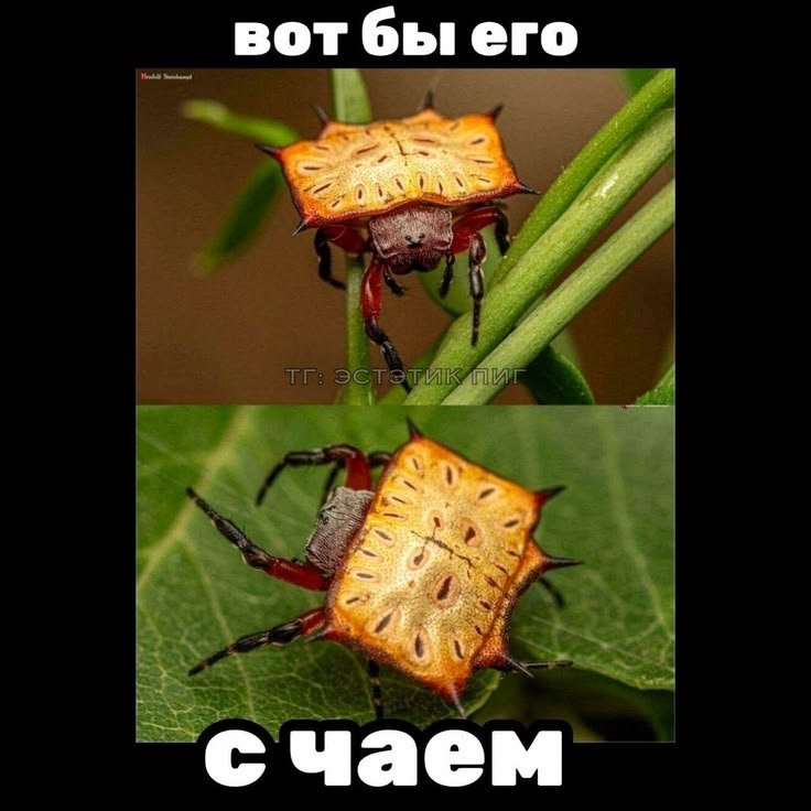 скорее бы домой а дома чай, но без печенья — Hakka · Стрекоза