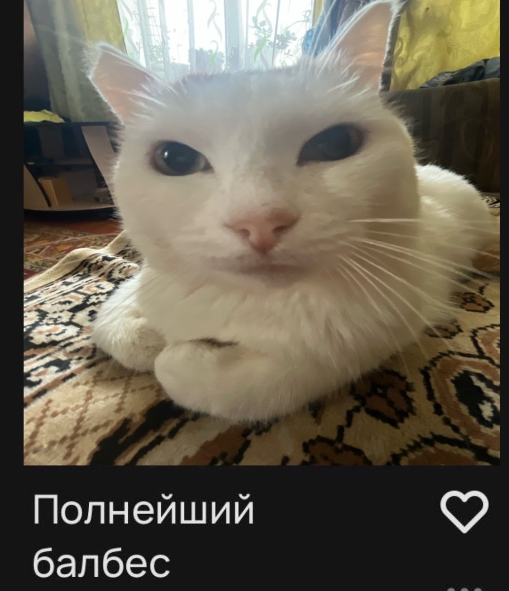 зомбе чипсыыыы@_@ — Pul1_OT_Babuli · Стрекоза