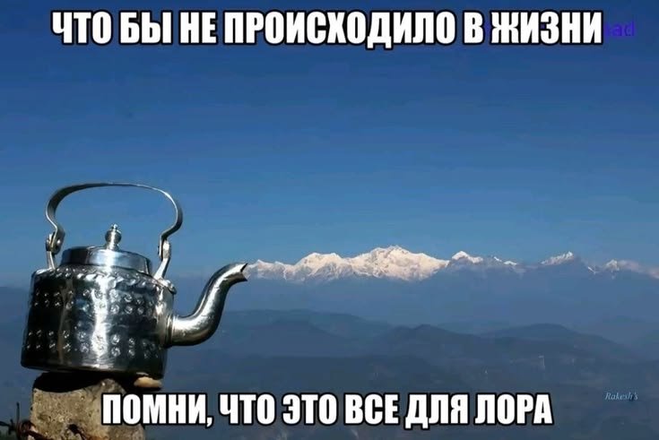 Мне нравится как германьо похуй — Oklahoma_Mixer · Стрекоза