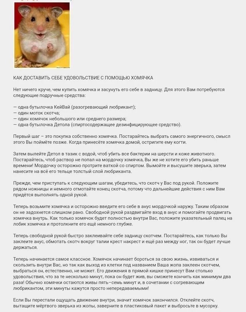 гвозди бы делать из этих людей — germanyo · Стрекоза