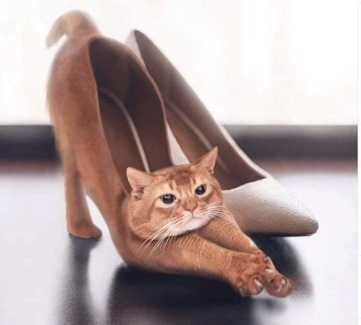 ну это вам на подумать а то я устал думать, вот так вот получатся. — Serblone · Стрекоза
