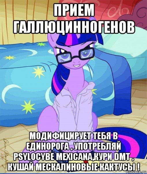 #Мемы #MLP #pony #jojolala — 🦄 My Little Pony  |  Фан-клуб 💖 · Стрекоза