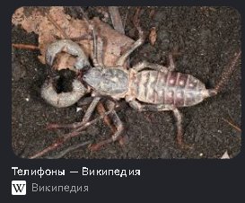 Почему Стрекоза, а не... Карапузик? Фигня? Майка? Телифон? Пишите сво… — Fronital · Стрекоза