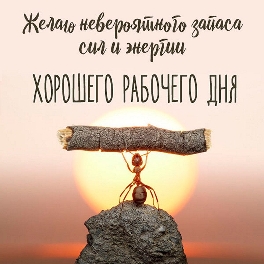 Всем работягам хорошего рабочего дня! (Школьникам завидую ( ꒪Д꒪)ノ) — Semka4ka · Стрекоза