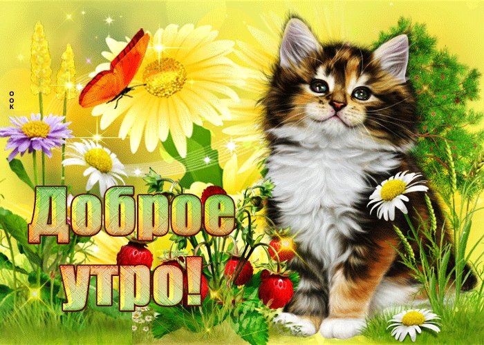 вскм ДОБРАЕ УТРА !!!!!!!!!!!!! — MinecraftSuperProHacker2011 · Стрекоза