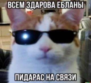 Доброго времени суток Стрекозуха — Nox · Стрекоза