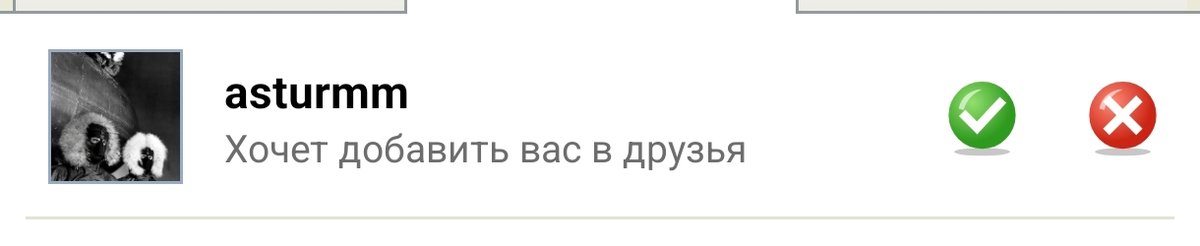 и тебе спасибо мой новый друк — chitoray · Стрекоза