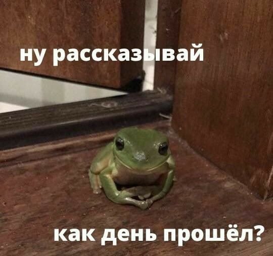 ) — HE_BCE_DOMA · Стрекоза