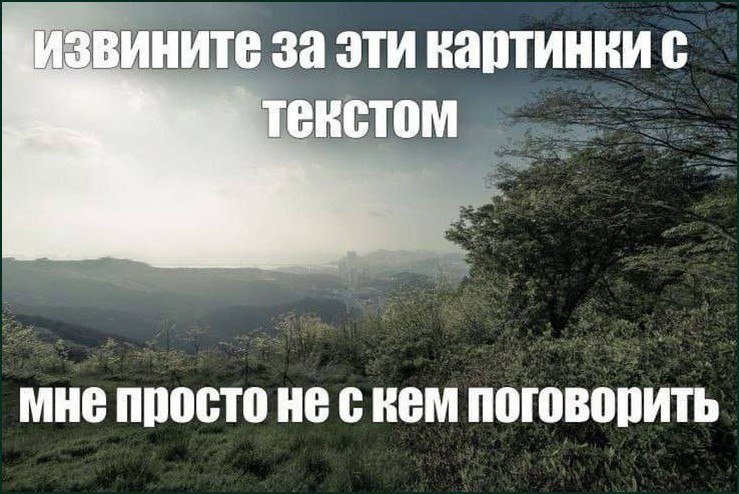 (за каждый пост) — Blazar · Стрекоза