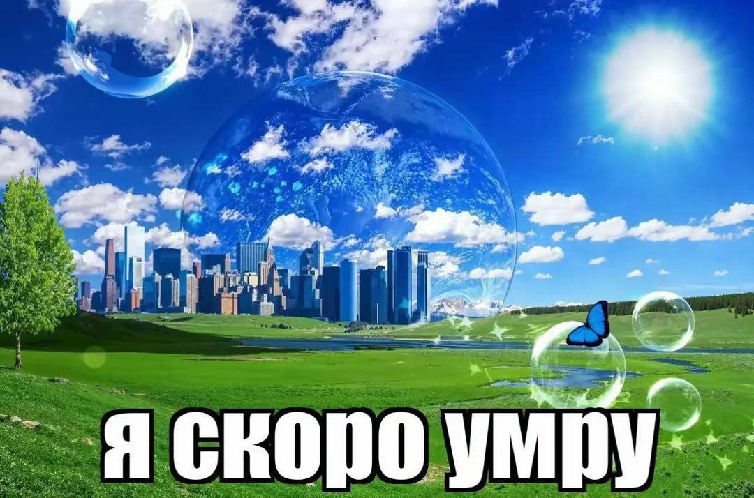 Я скоро умру от того какая крутая стала Стрекоза! — Shutnichek_official · Стрекоза