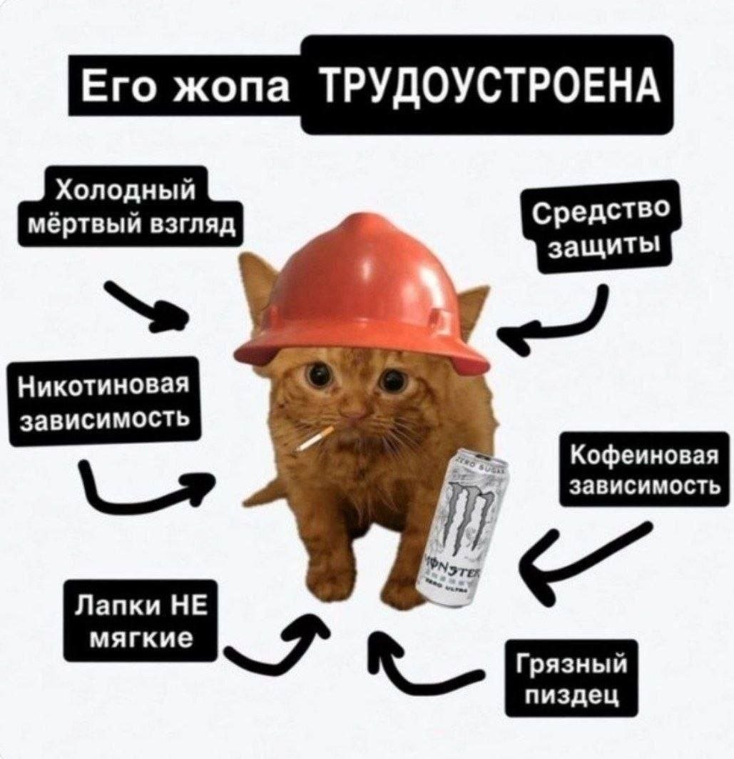 скучаю по времени, когда можно было проёбываться на деньги родителей,… — kitteen · Стрекоза